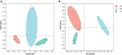 Influence of weeding methods on rhizosphere soil and root endophytic microbial communities in tea plants